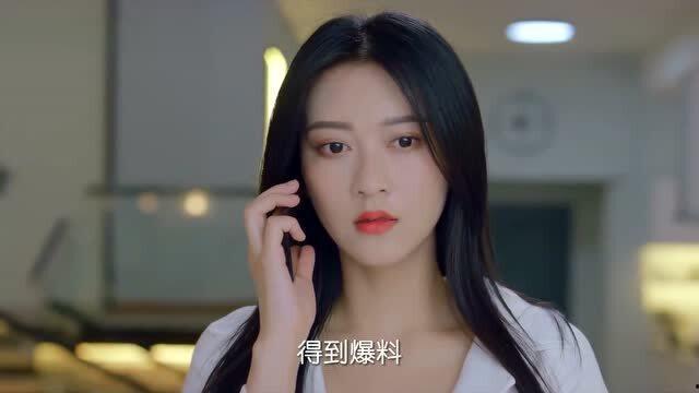 出轨的明星网红,出轨风波中的明星网红众生相