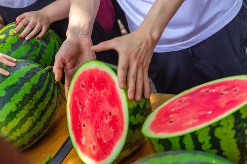 今日的吃瓜排行榜最新,热门事件盘点，揭秘娱乐圈最新动态