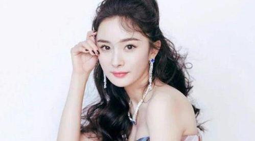 明星网红不多的人,明星网红不多的人生轨迹