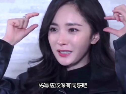 明星网红不多的人,明星网红不多的人生轨迹