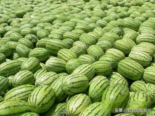 今日吃瓜52cg热门大瓜下载,52cg平台吃瓜52cg，揭秘娱乐圈最新动态