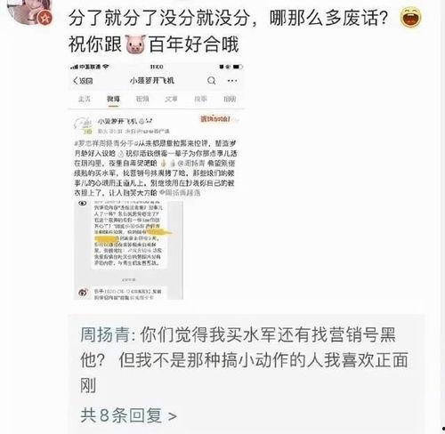 凭证男明星网红,揭秘娱乐圈的流量密码与粉丝经济新趋势”