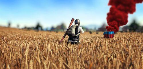 吃鸡吃瓜爆料图片大全,揭秘吃鸡吃瓜爆料图片大全背后的热点事件