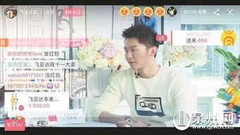 明星网红叫卖模式,明星网红叫卖模式解析与应用