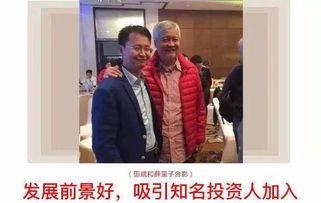 明星网红叫卖模式,明星网红叫卖模式解析与应用