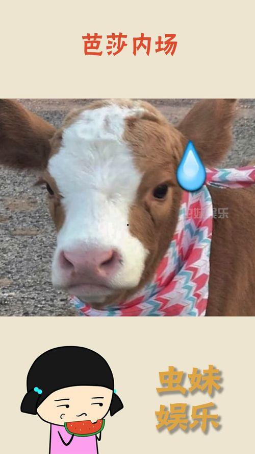 抖音吃瓜热门没人管吗,为何无人监管引发热议？