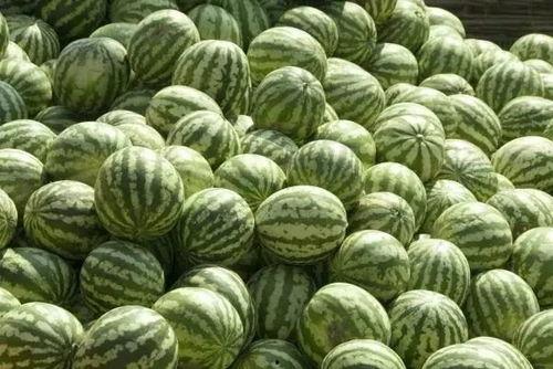 泉州热门吃瓜事件真相是真的吗,真相揭秘，还原事实真相