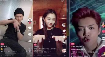 推荐明星网红视频,热门视频精选回顾