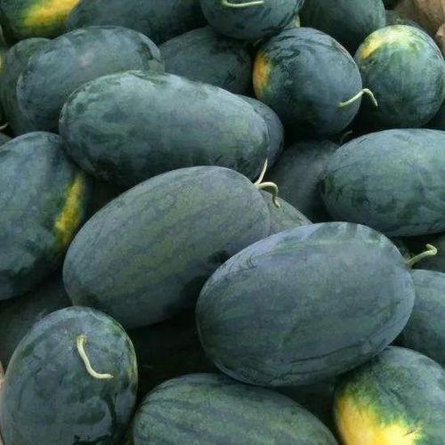 黑瓜吃料入口在哪里,探寻美味之源