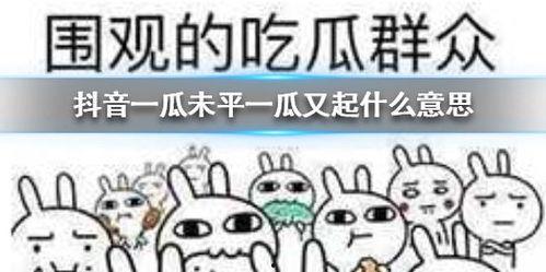 今日吃瓜合集抖音风,抖音热门事件大盘点