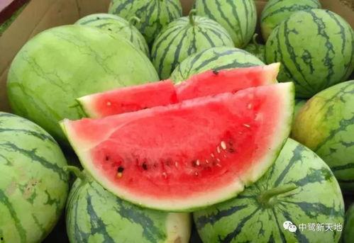 今日吃瓜免费吃瓜爆料两年半