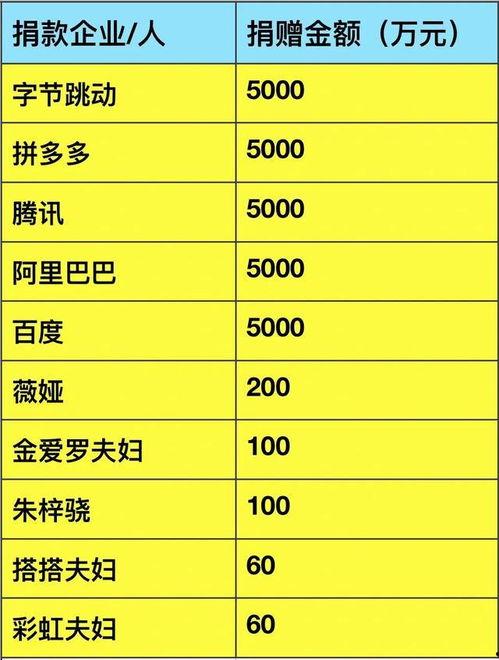 明星网红捐款金额,捐款总额突破百万大关