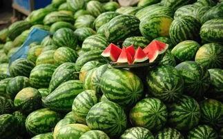 西安热门吃瓜事件真相视频,真相视频背后的真相揭晓