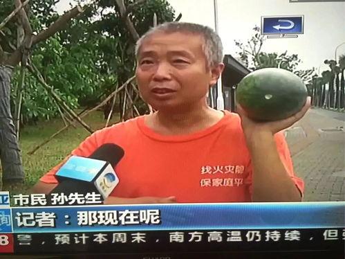 今日吃瓜热门事件最新消息,吃瓜群众聚焦最新惊天事件揭秘