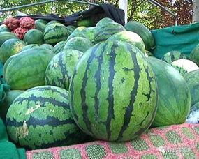 韩国吃瓜爆料在哪看,吃瓜群众必看平台揭秘