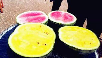 爆料吃瓜必吃大瓜图片大全,吃瓜必看！大瓜图片大全大汇总