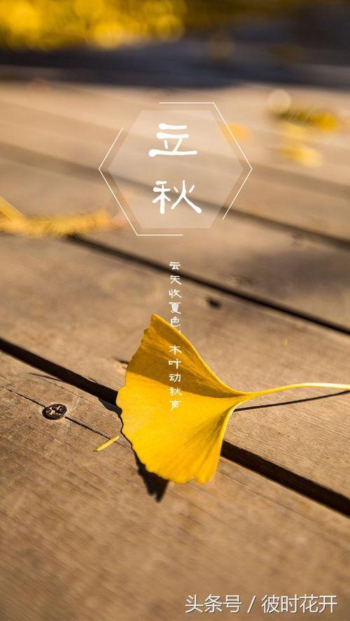 今日立秋吃瓜快乐图片,快乐共享时光